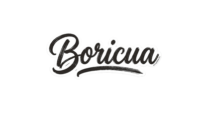 A bold culture-inspired typography sticker featuring the word 'Boricua' in a stylized, hand-brushed street graffiti calligraphy font. The script is rendered in deep black ink with realistic textured streaks and ink-skipping details, completely outlined by a crisp white die-cut border.